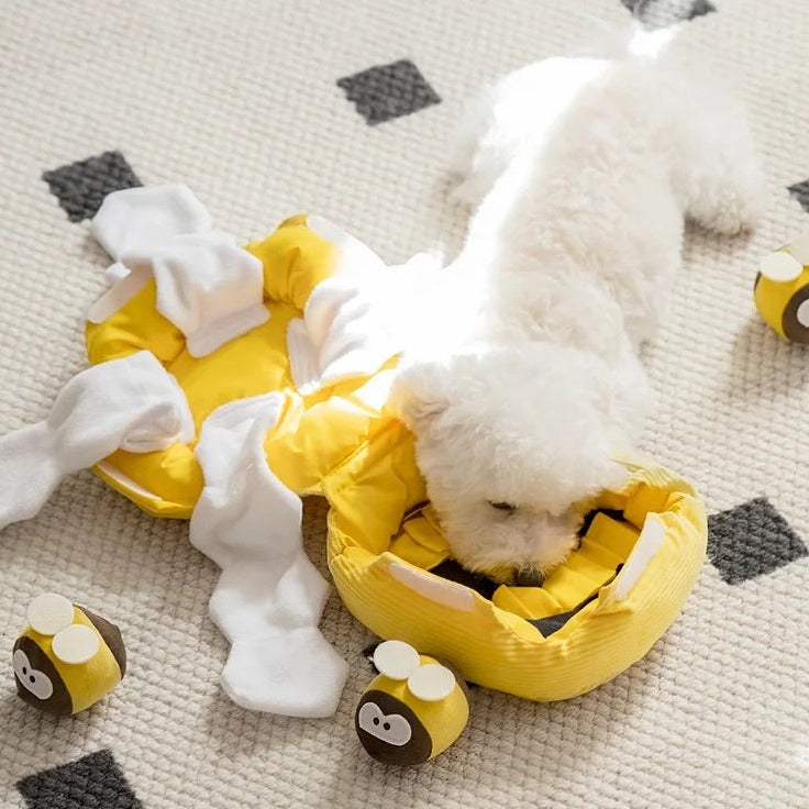 Beehive Internative Nosework Dog Toy