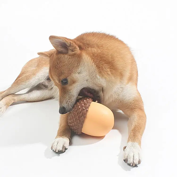 Acorn Slow Feeder & Treat Dispenser Toy