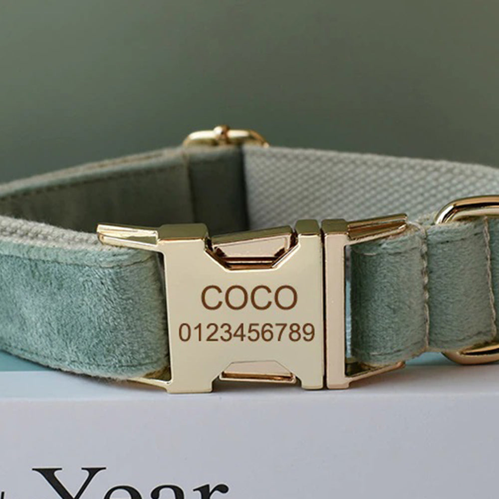 Mint Green Personalized Bow Tie Collar