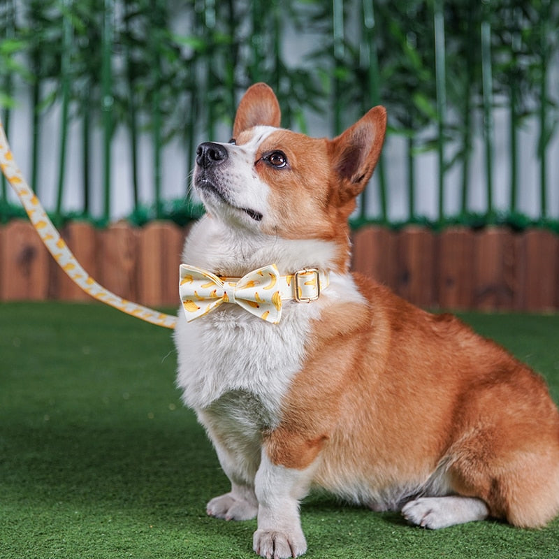 Banana Print Personalized Bow Tie Collar
