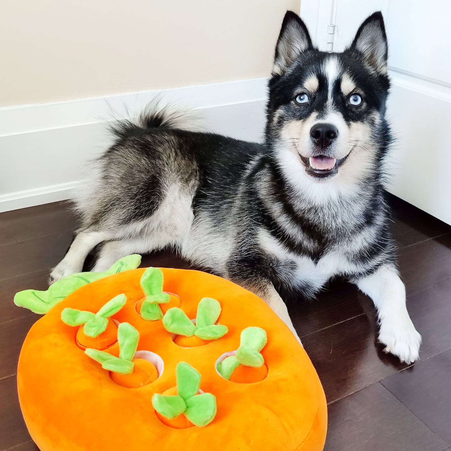 Carrot Interactive Nosework Dog Toy