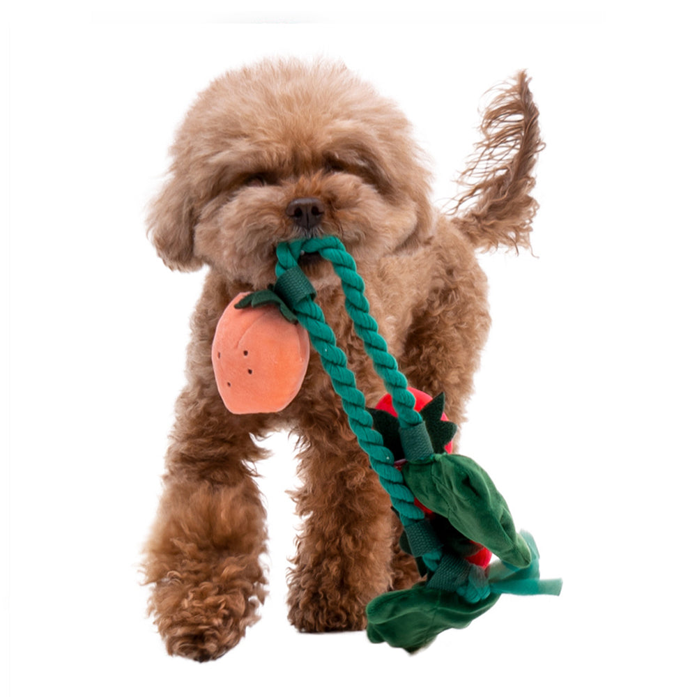Strawberry Flower Pot Interactive Dog Toy