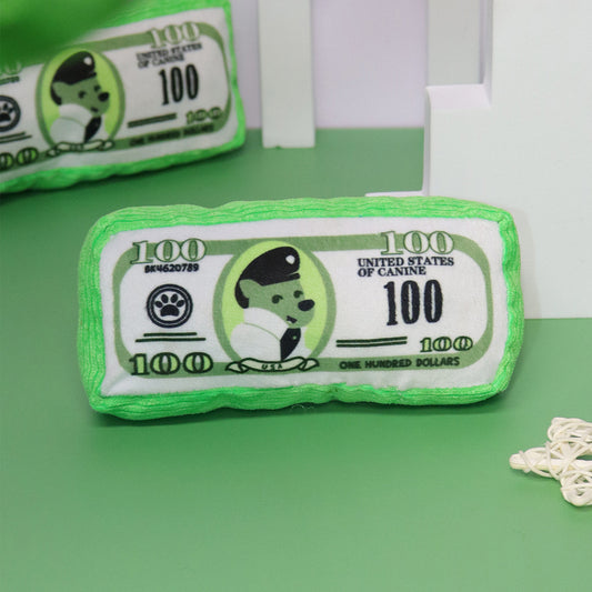 Money Stack Squeaky Plush Dog Toy
