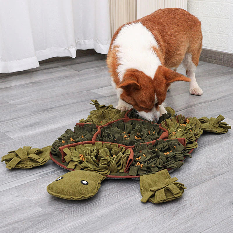 Large Tortoise Nosework Snuffle Mat