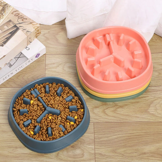 Clock Slow Feeder Bowl