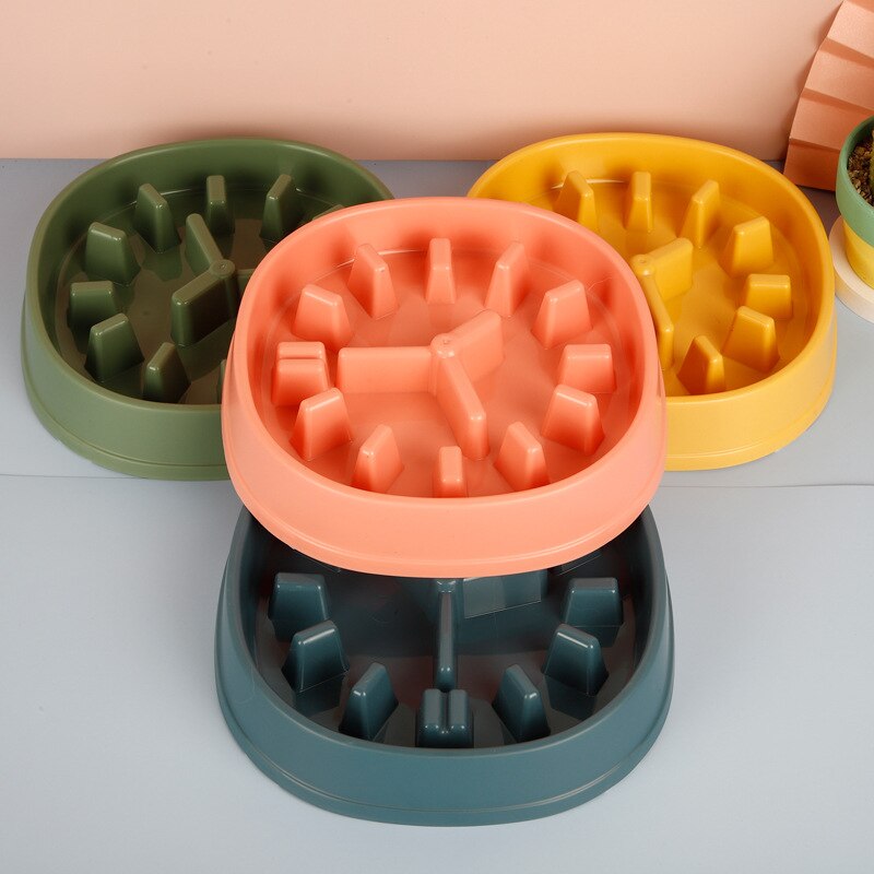 Clock Slow Feeder Bowl