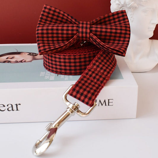 Red Checkered Leash