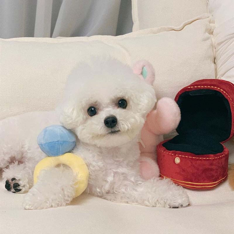 Diamond Ring Box Interactive Dog Toy