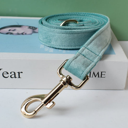 Teal Leash