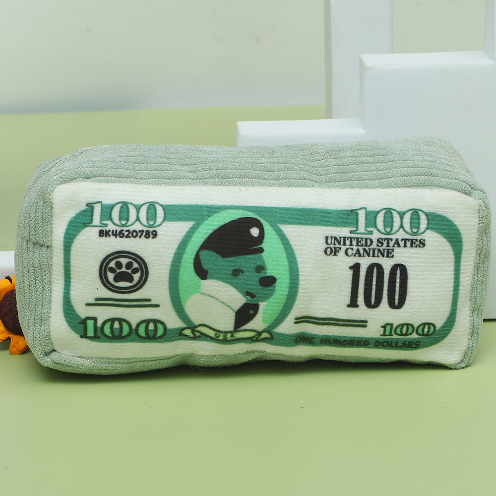 Money Stack Squeaky Plush Dog Toy