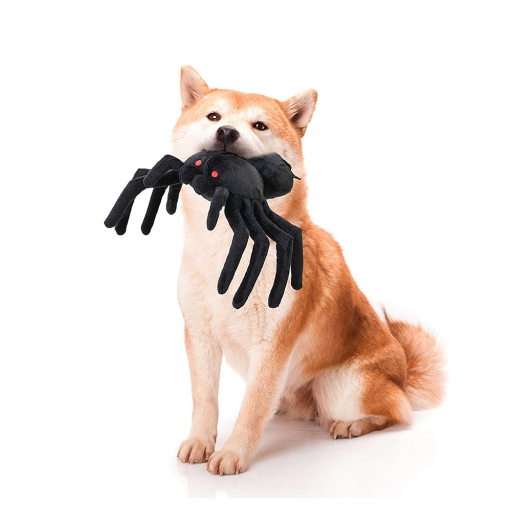 Spider Interactive Nosework Toy