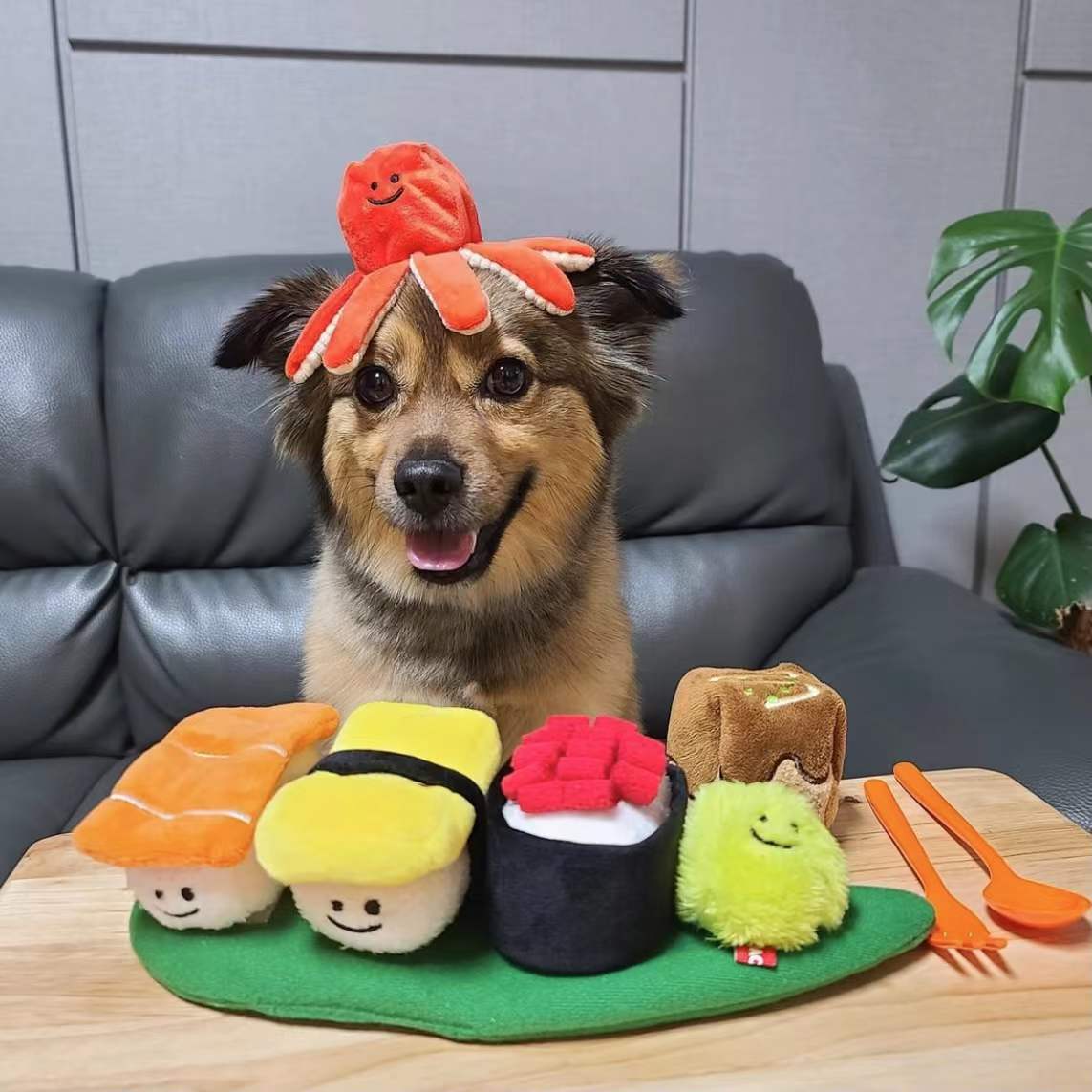 Sushi Interactive Dog Toy Set