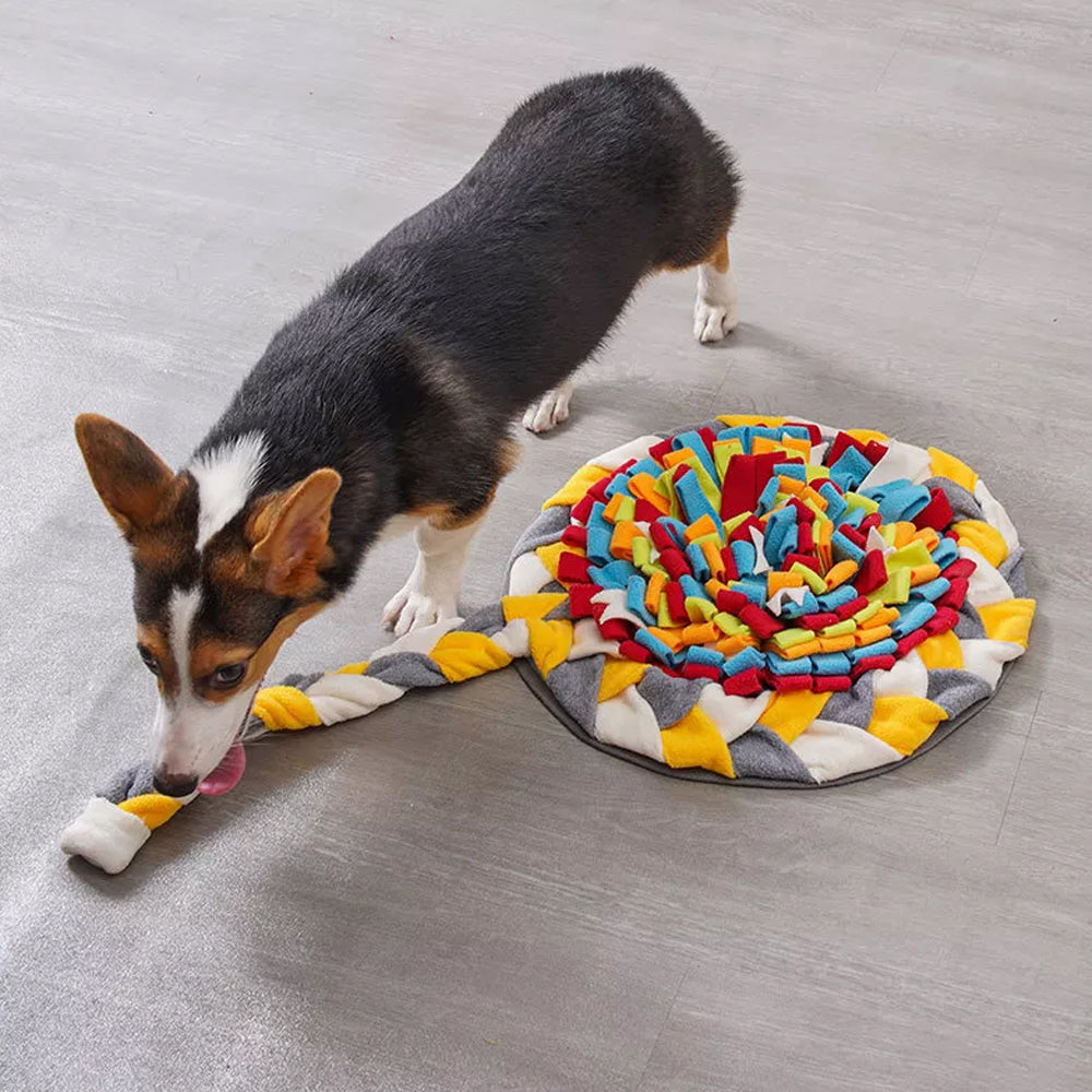 Lollipop Nosework Snuffle Mat