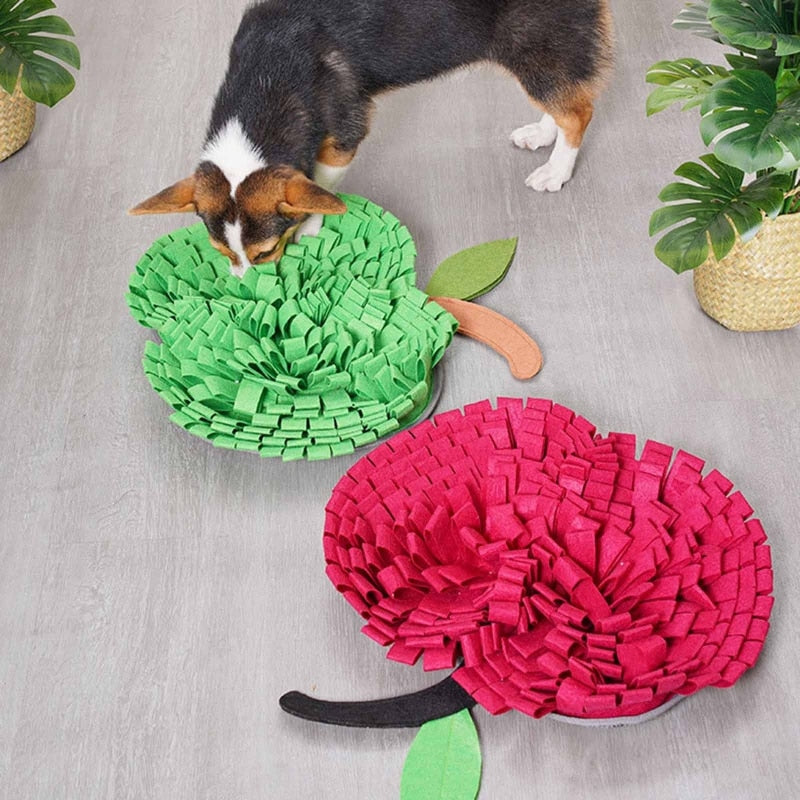 Apple in Pear Nose Work Dog Toy