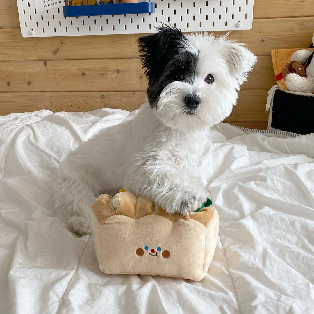 Bread Loaf Nosework Dog Toy