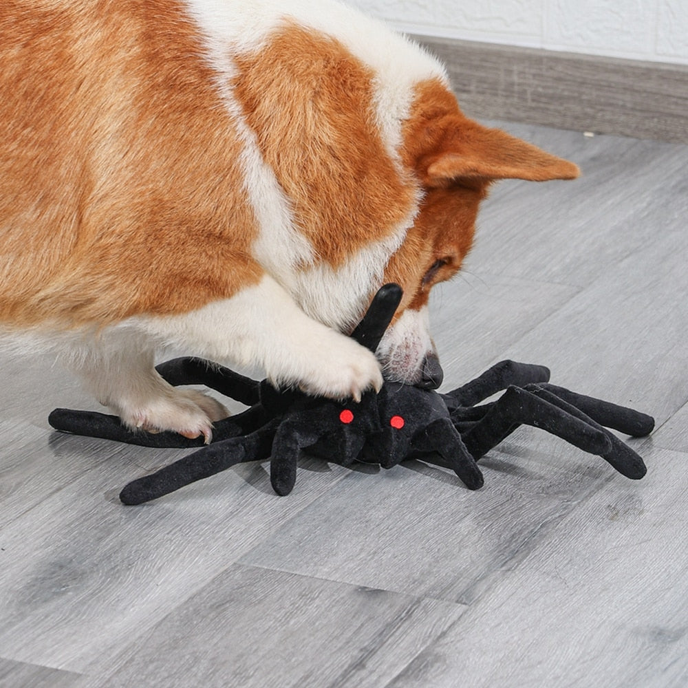 Spider Interactive Nosework Toy