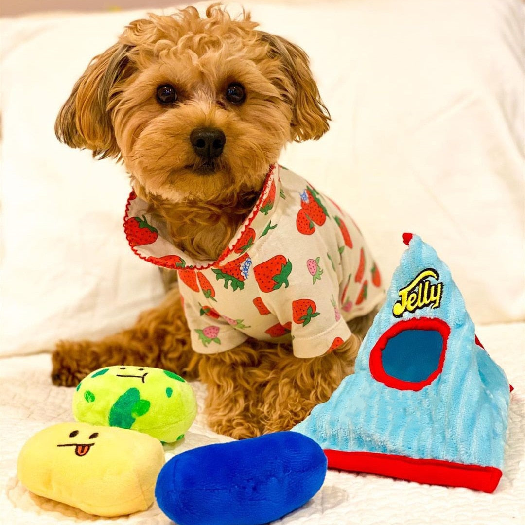 Jellybean Candy Interactive Dog Toy