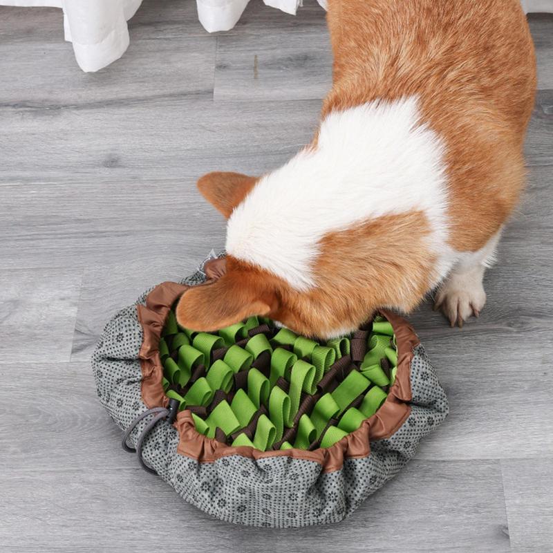 2-In-1 Snuffle Mat Bowl