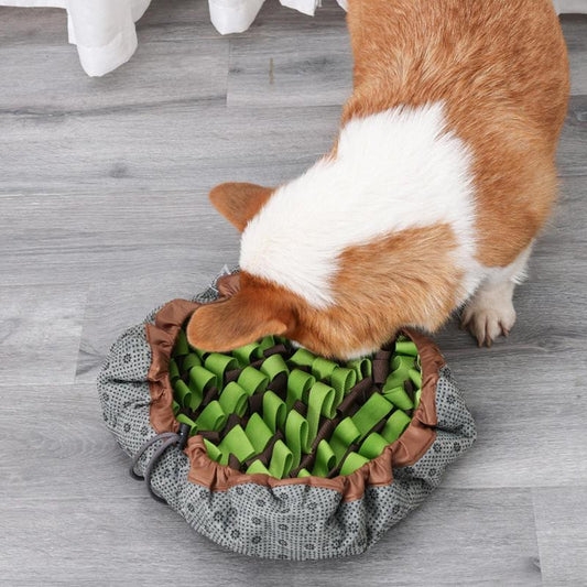 2-In-1 Snuffle Mat Bowl