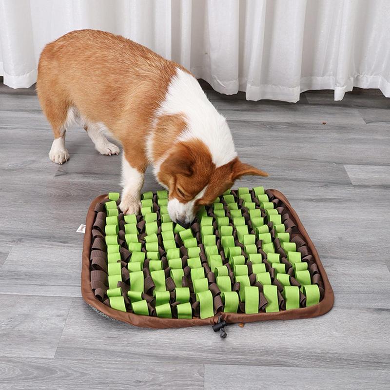 2-In-1 Snuffle Mat Bowl