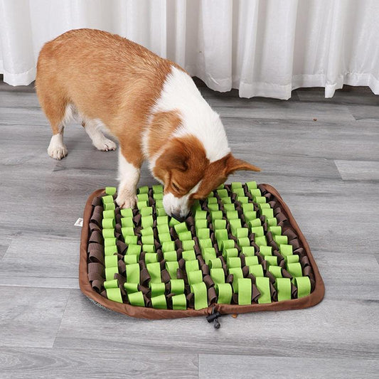 2-In-1 Snuffle Mat Bowl