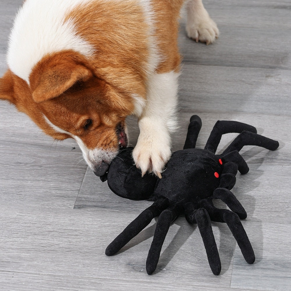 Spider Interactive Nosework Toy