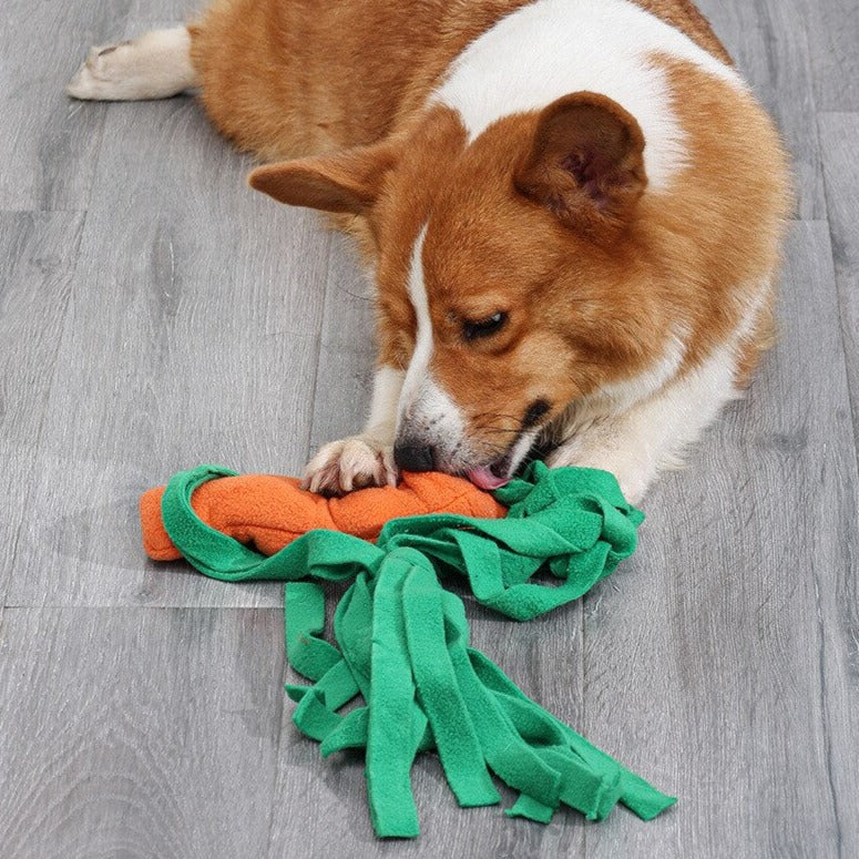 Carrot Interactive Nosework Dog Toy