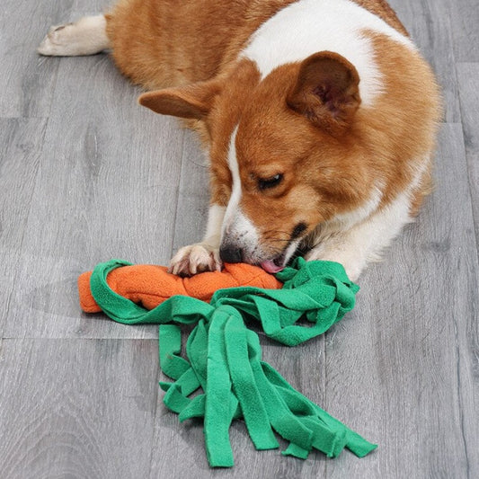 Carrot Interactive Nosework Dog Toy