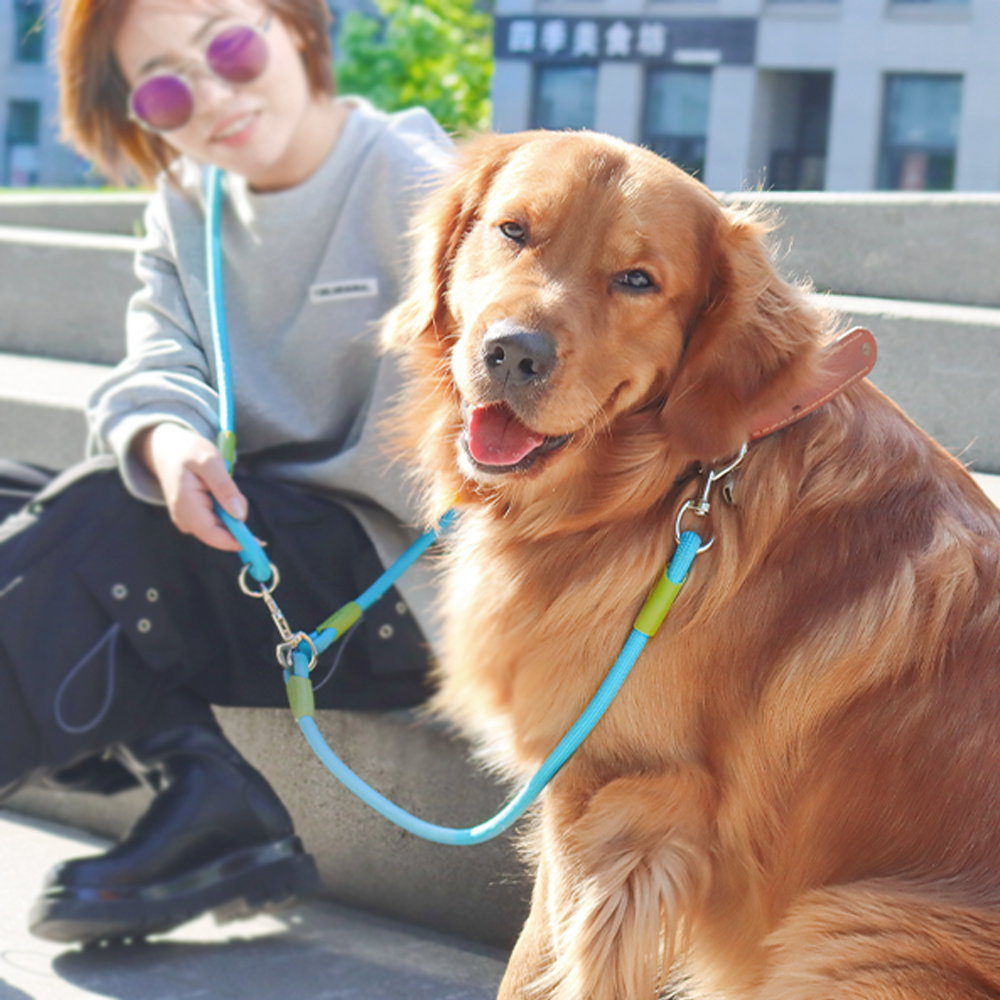Hands-Free Reflective Nylon Rope Dog Leash