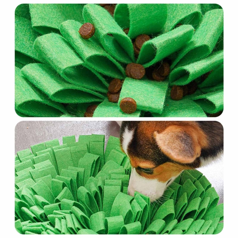 Apple Nosework Snuffle Mat