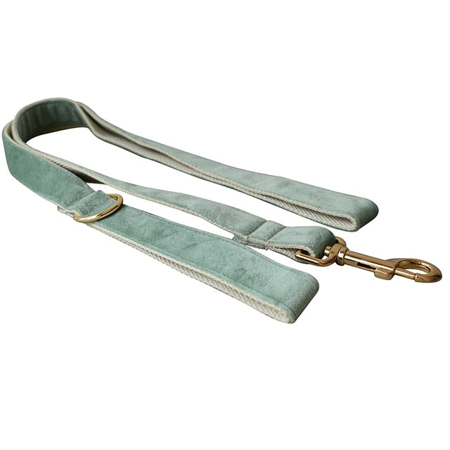 Mint Green Leash