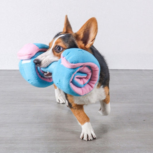 Dumbbell Nosework Dog Toy