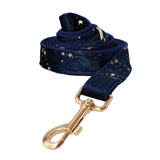 Navy Blue & Gold Stars Leash