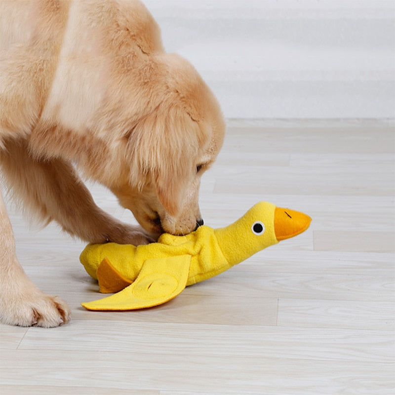 Duck Nosework Dog Toy