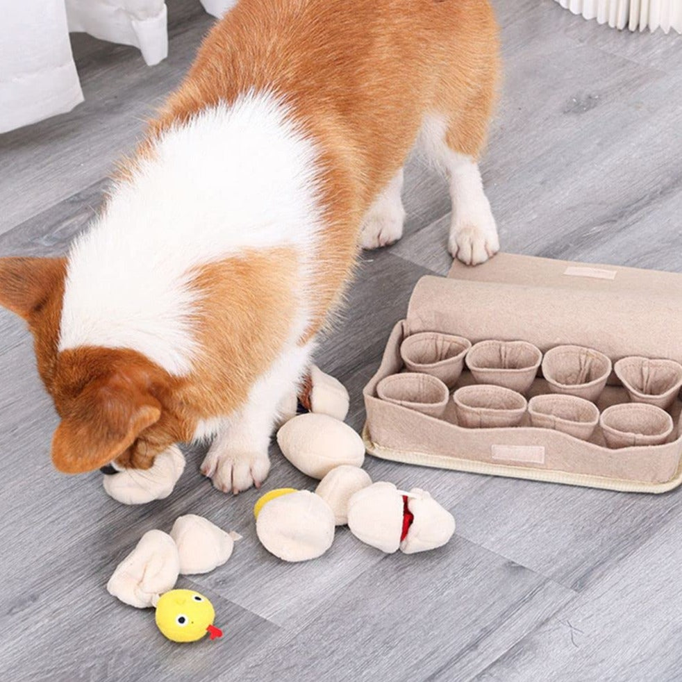 Egg Carton Interactive Nosework Dog Toy