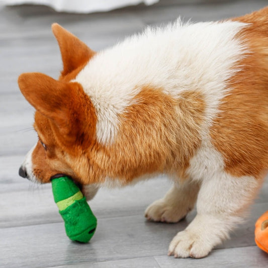 Caterpillar Interactive Nosework Dog Toy