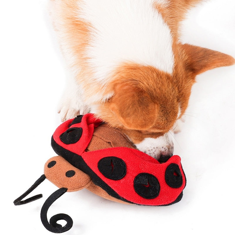 Ladybug Interactive Nosework Dog Toy