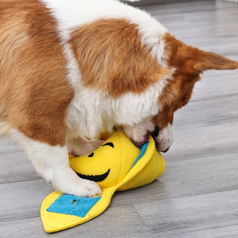 Pumpkin Interactive Nosework Toy