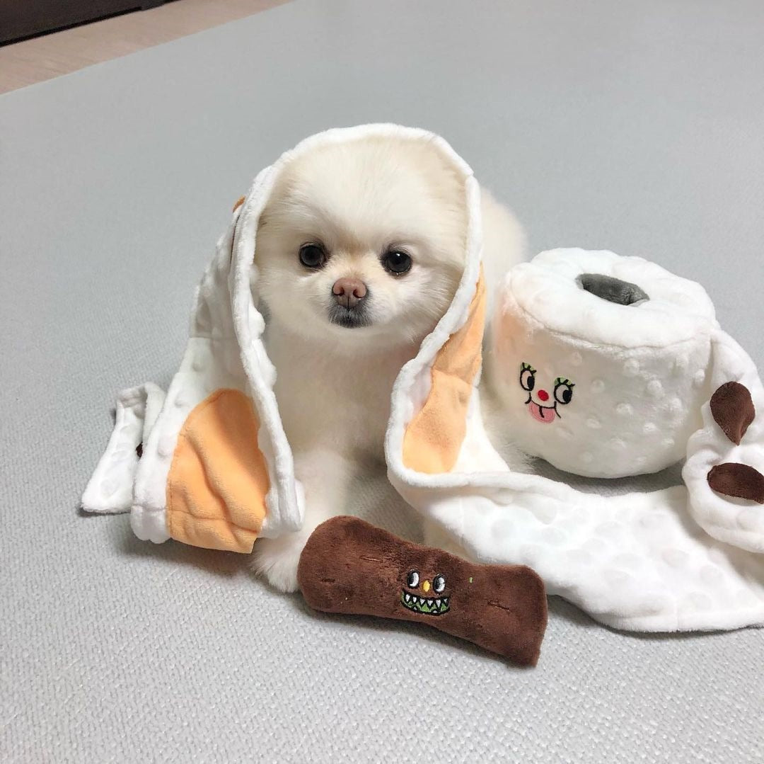 Funny Toilet Paper Interactive Dog Toy