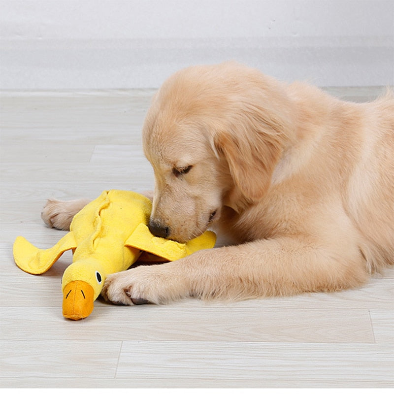 Duck Nosework Dog Toy