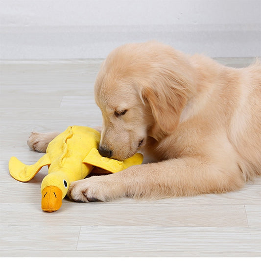 Duck Nosework Dog Toy