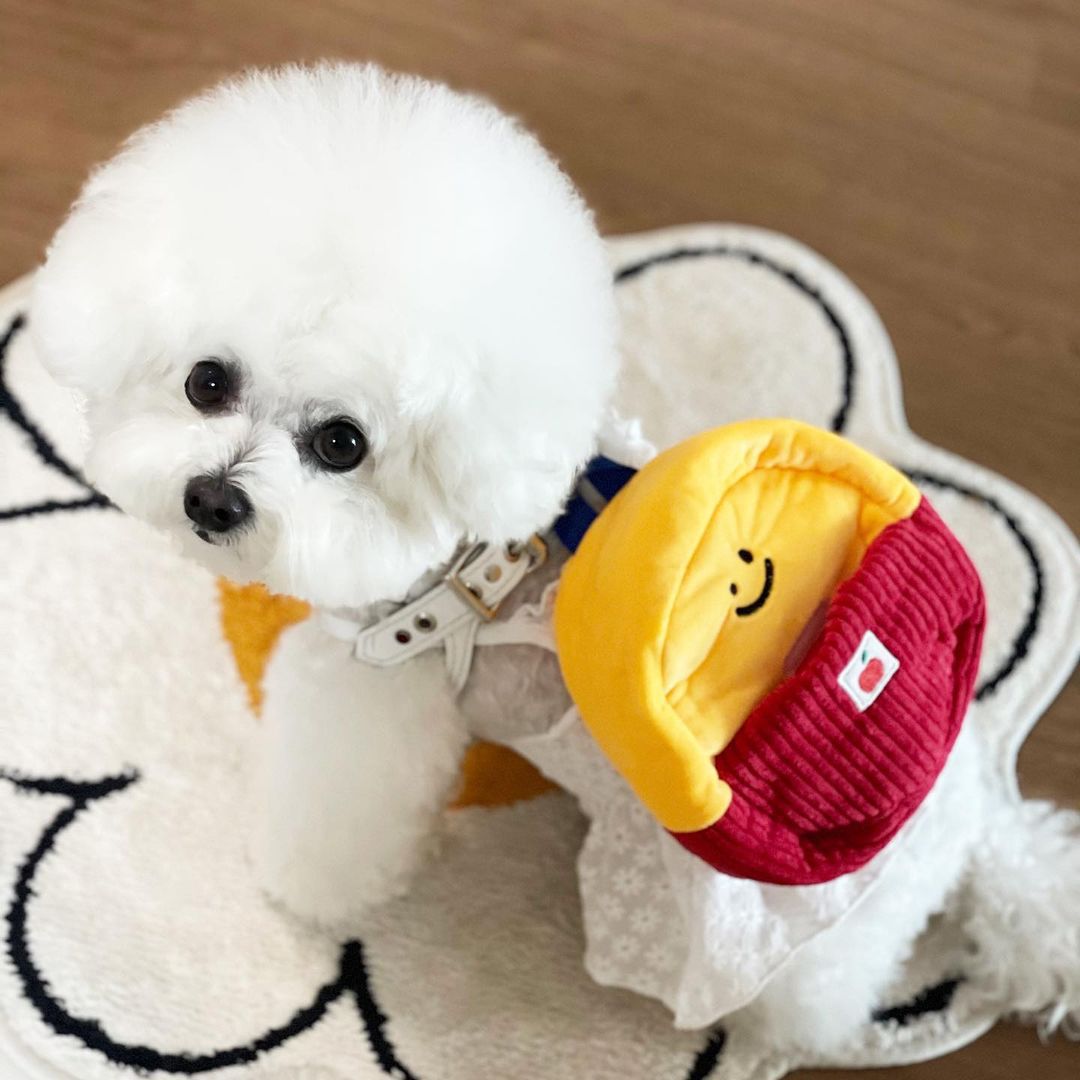 Cute School Backpack Interactive Dog Toy