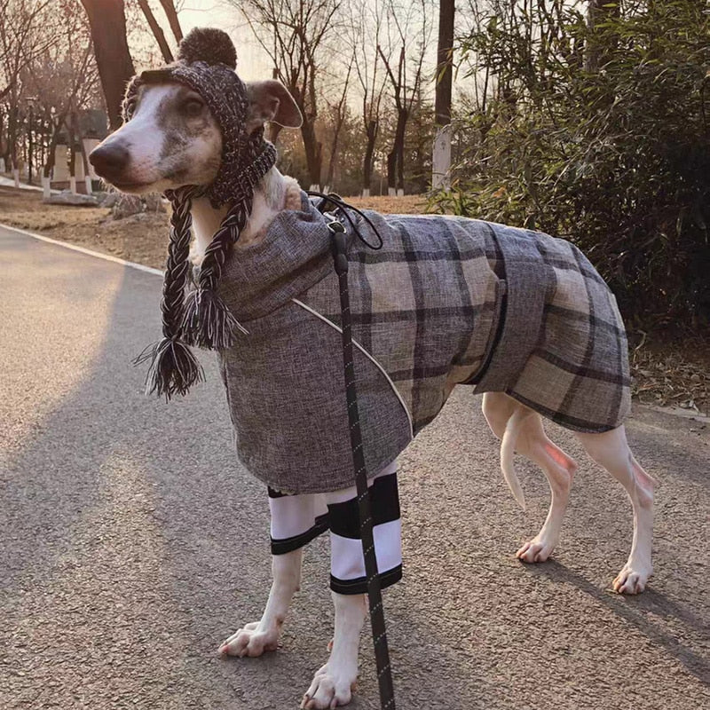 Plaid Fleece Jacket for Medium Large Dogs