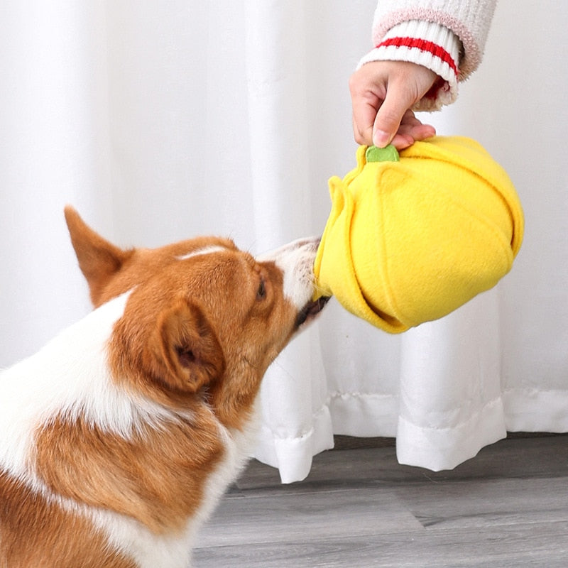 Pumpkin Interactive Nosework Toy