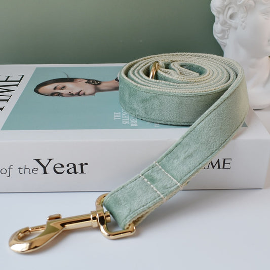 Mint Green Leash