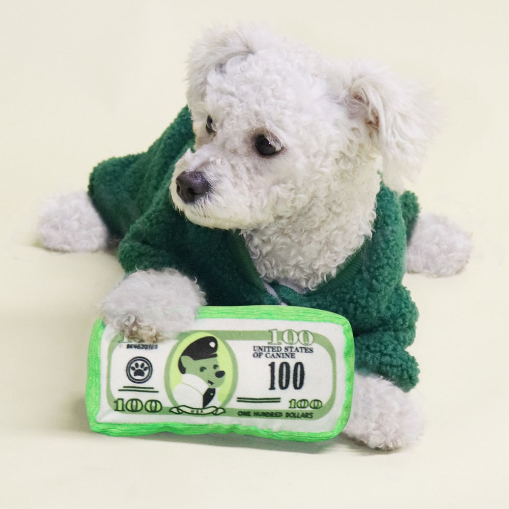 Money Stack Squeaky Plush Dog Toy