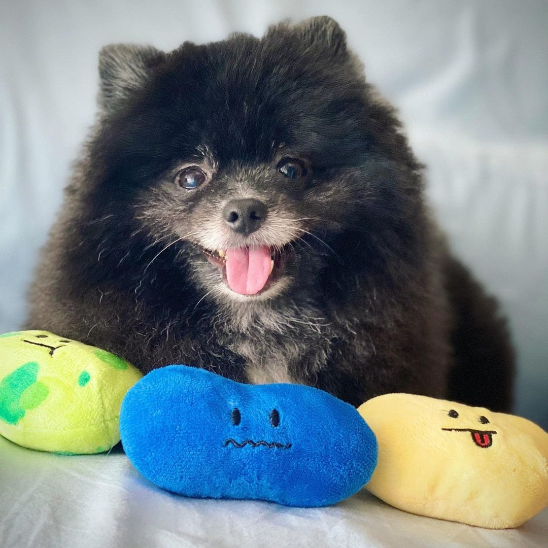 Jellybean Candy Interactive Dog Toy