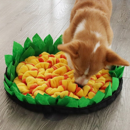 2-In-1 Flower Pad Snuffle Mat Bowl