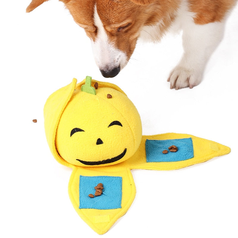 Pumpkin Interactive Nosework Toy