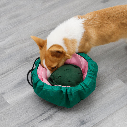 Lotus Flower Nosework Snuffle Mat Bowl